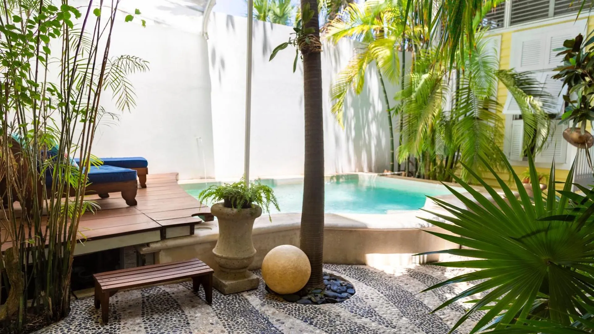 公寓 Plantation House Trinidad Suite 普拉亚卡门
