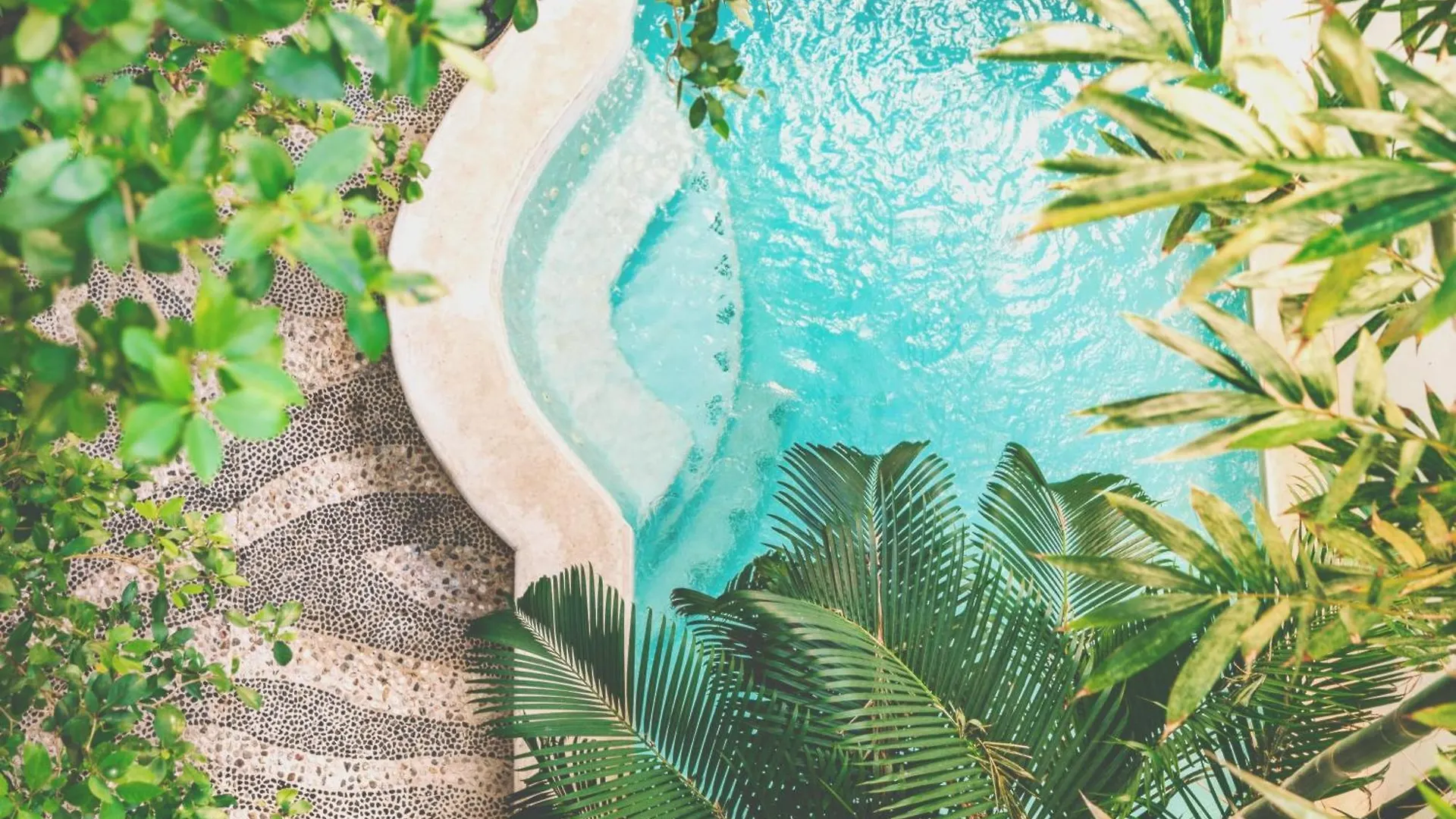 公寓 Plantation House Trinidad Suite 普拉亚卡门 墨西哥